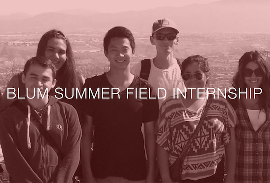 Blum Field Summer Internship Banner